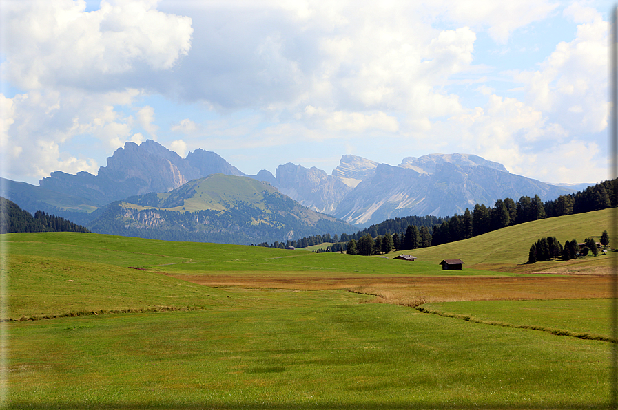 foto Alpe di Siusi